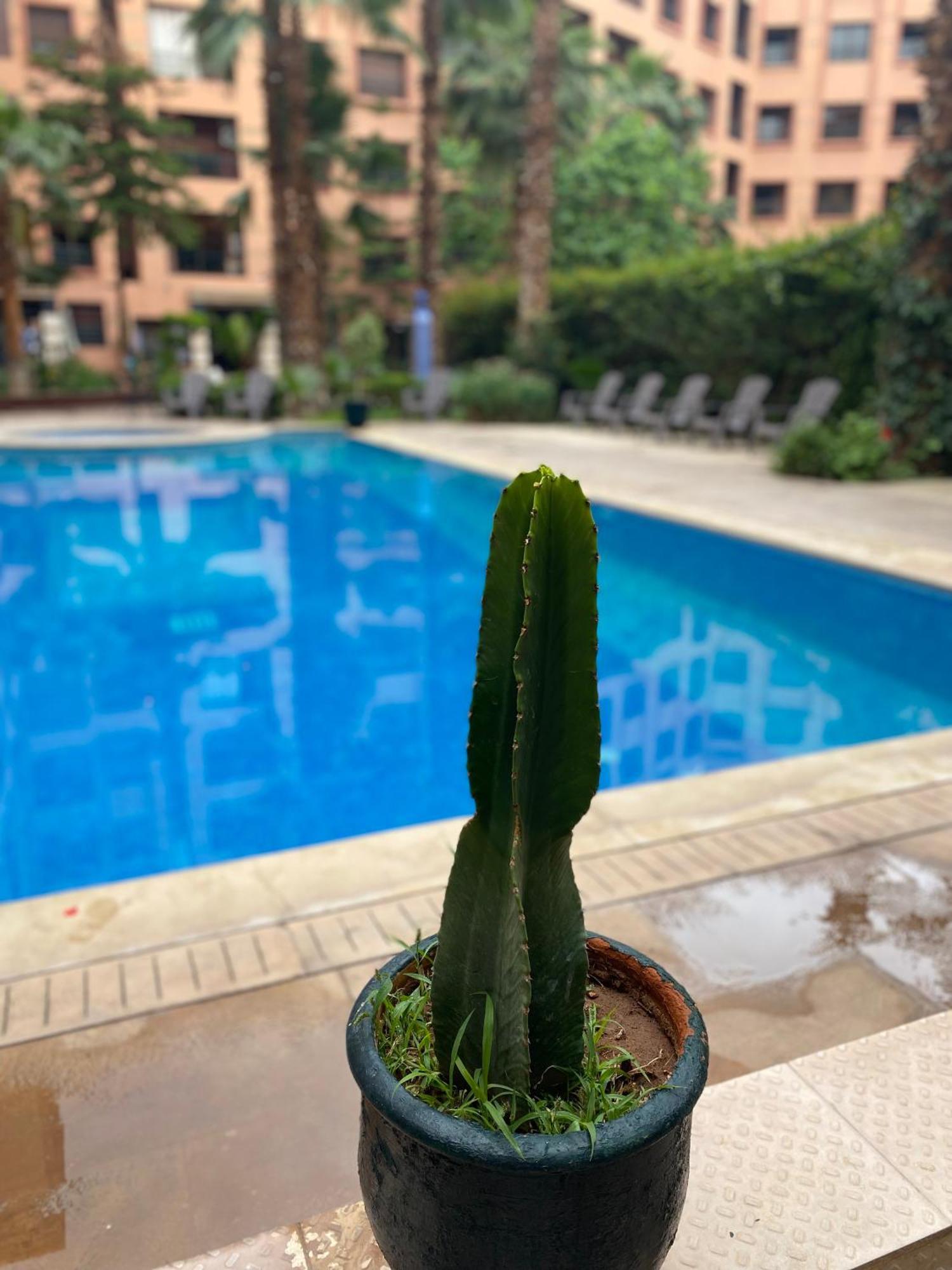 Residence Caprice Palace Hivernage 马拉喀什 外观 照片