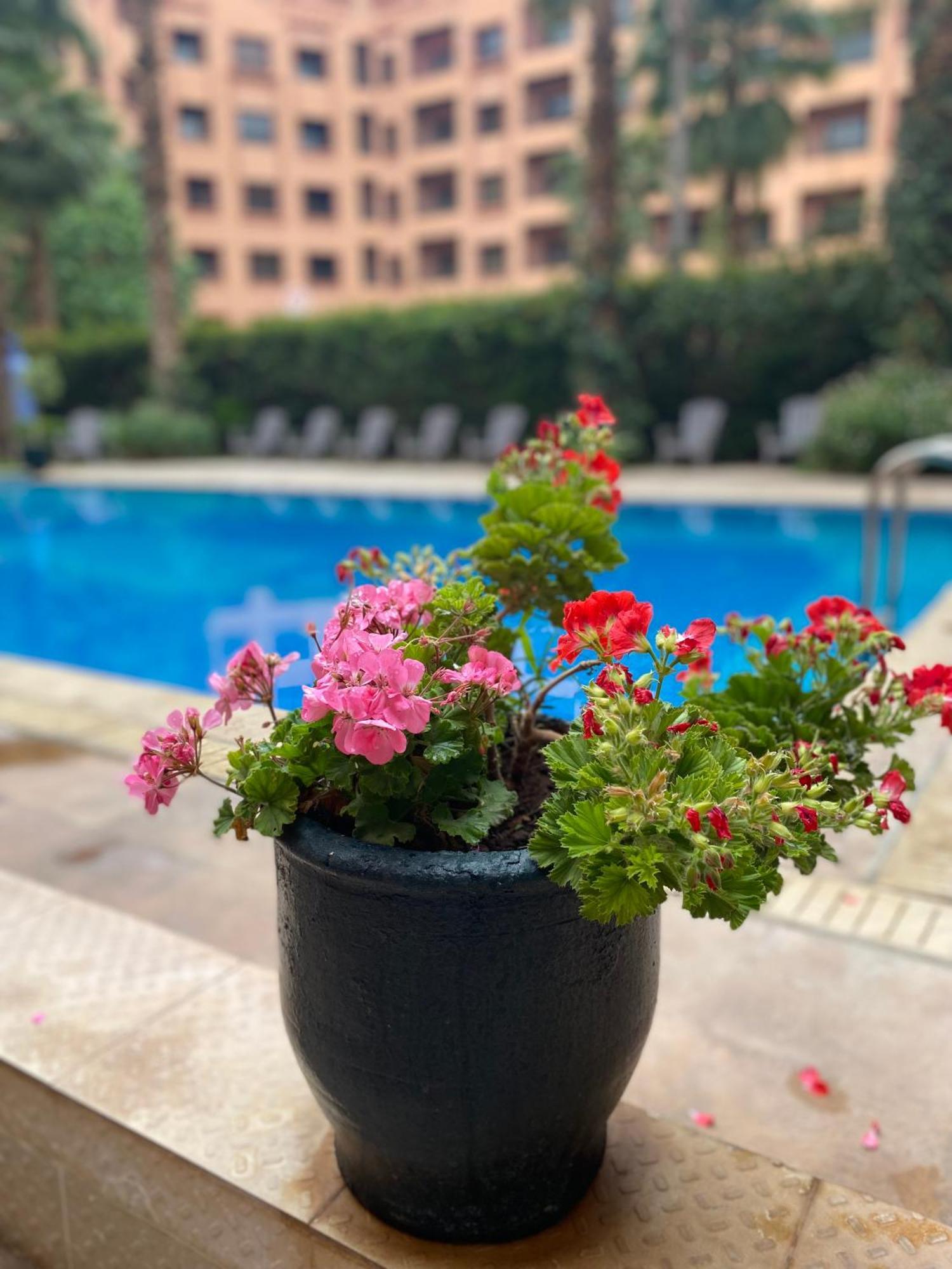 Residence Caprice Palace Hivernage 马拉喀什 外观 照片